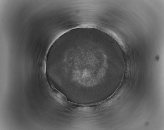 X0000102341276200808151719