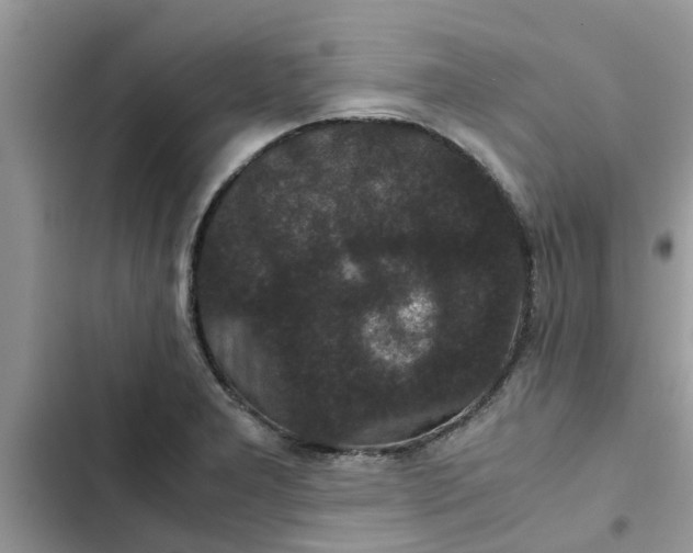 X0000102341277200808151719