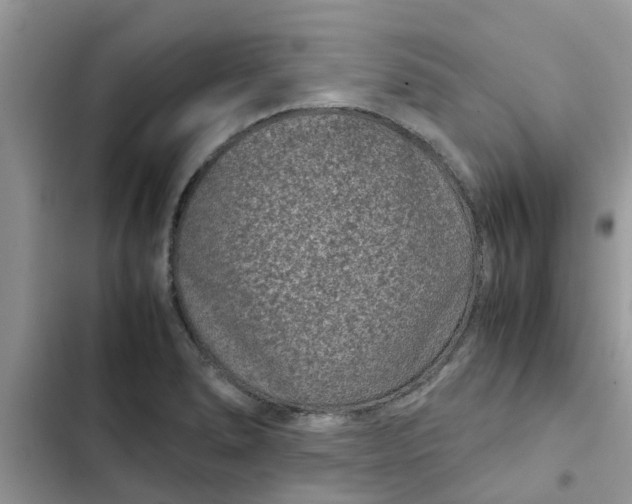 X0000102341278200808151719