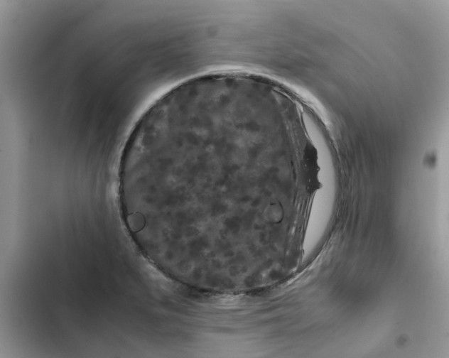 X0000102341279200808151719