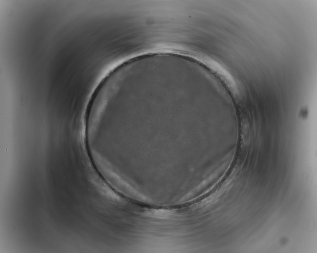 X0000102341280200808151719