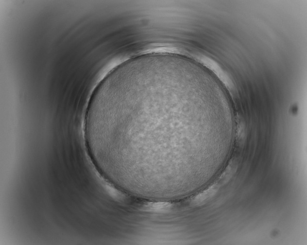 X0000102341282200808151719