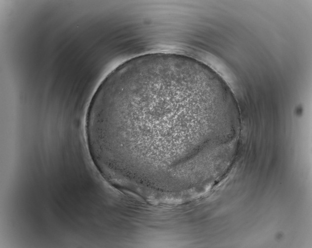 X0000102341283200808151719