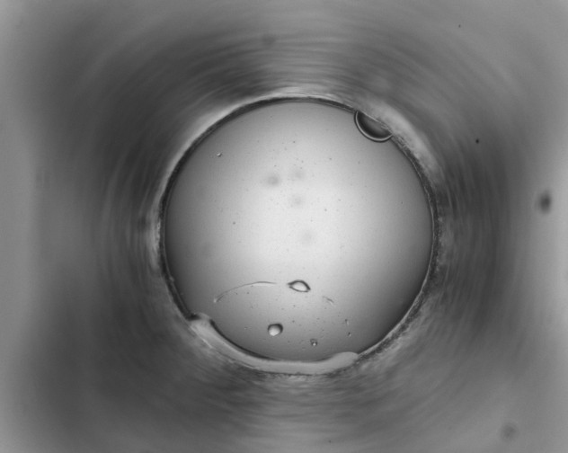 X0000102341284200808151719