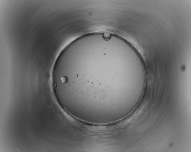 X0000102341285200808151719