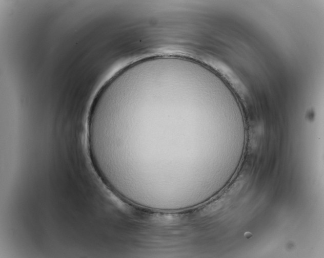 X0000102341286200808151719