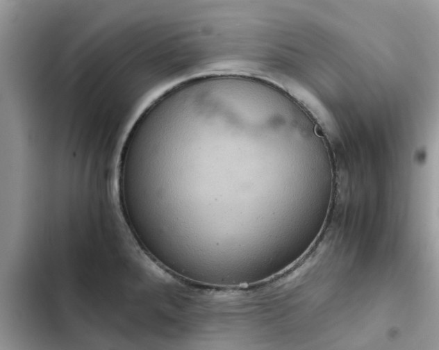 X0000102341288200808151719