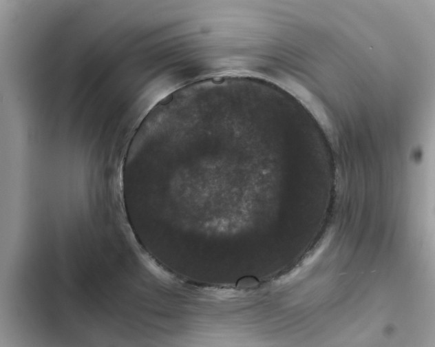 X0000102341289200808151719