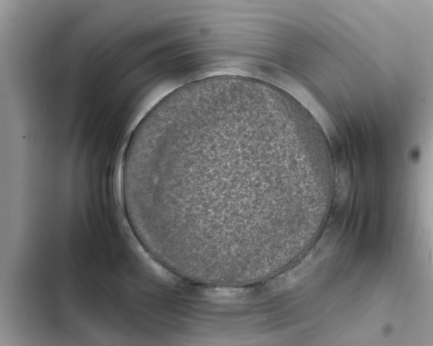 X0000102341290200808151719