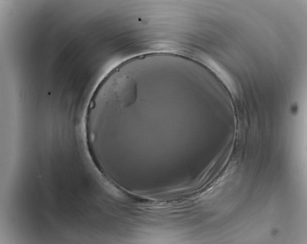 X0000102341291200808151719