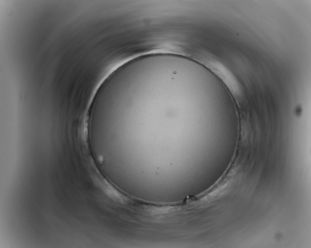 X0000102341292200808151719