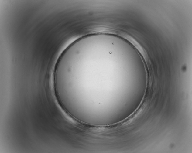 X0000102341293200808151719