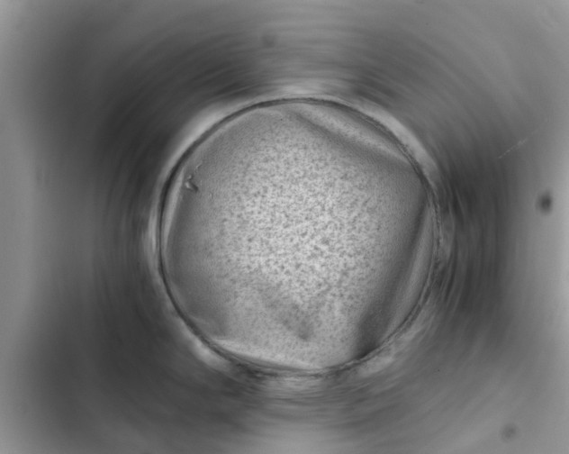 X0000102341294200808151719