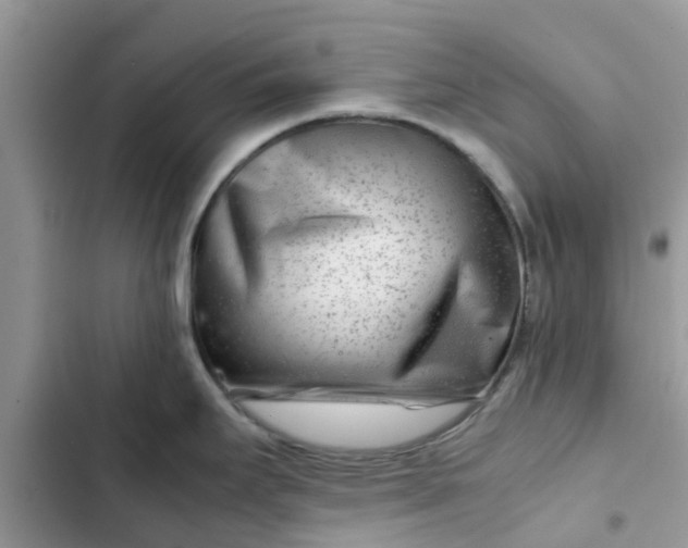 X0000102341295200808151719