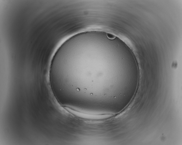 X0000102341296200808151719