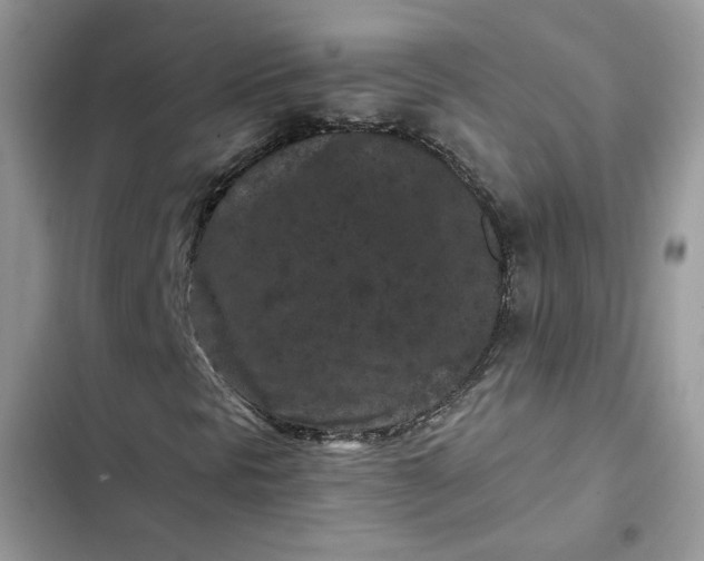 X0000102341297200808151719