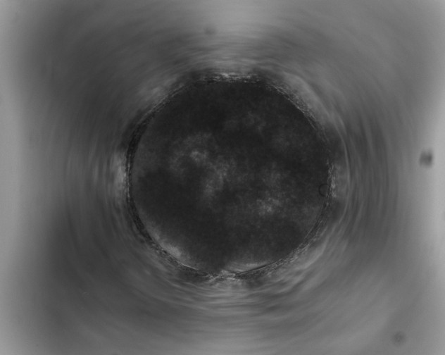 X0000102341298200808151719