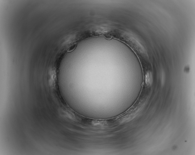 X0000102341299200808151719