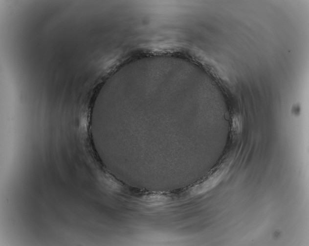 X0000102341300200808151719