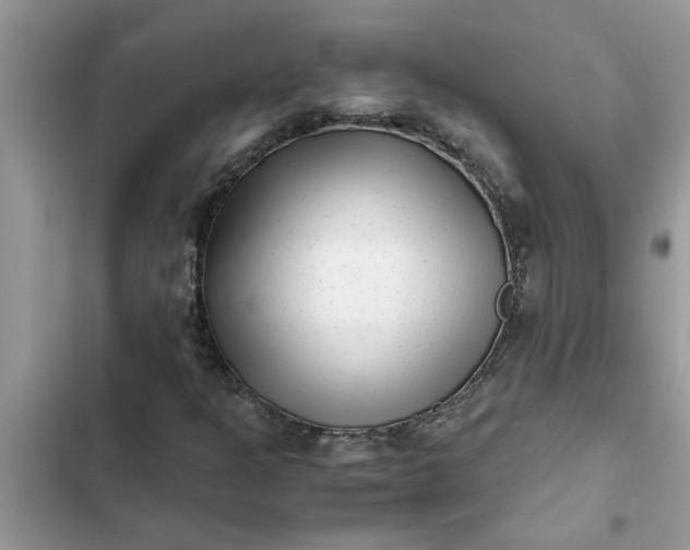 X0000102341301200808151719