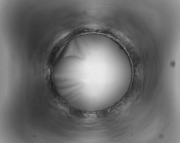 X0000102341302200808151719