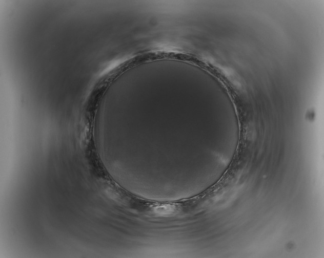 X0000102341303200808151719