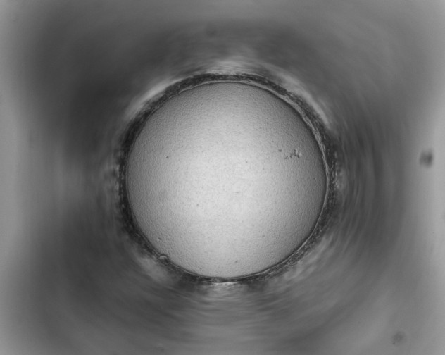 X0000102341304200808151719