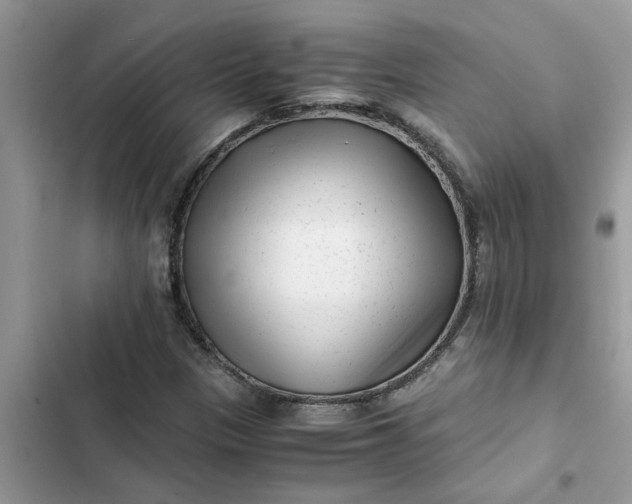 X0000102341305200808151719