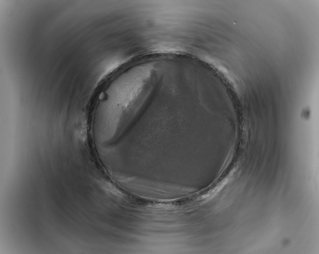 X0000102341306200808151719