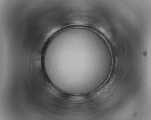 X0000102341307200808151719