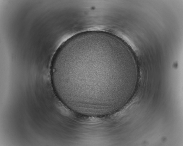 X0000102341308200808151719