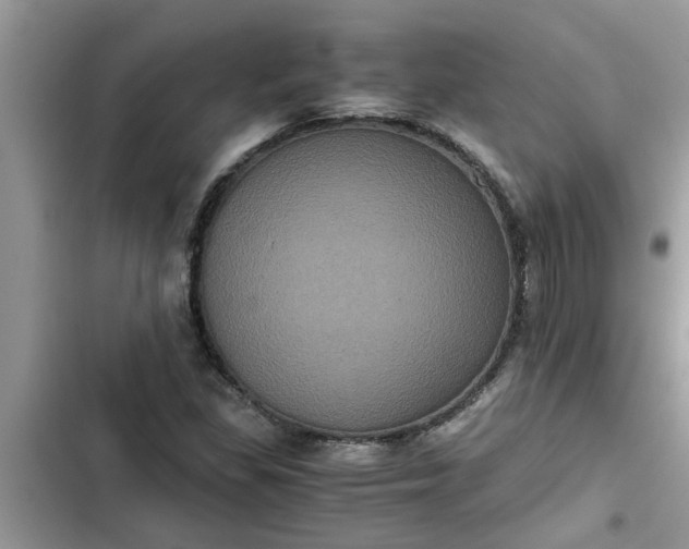 X0000102341309200808151719