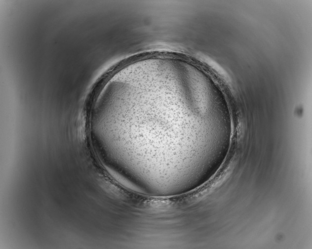 X0000102341310200808151719