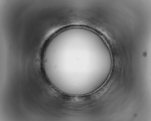 X0000102341311200808151719