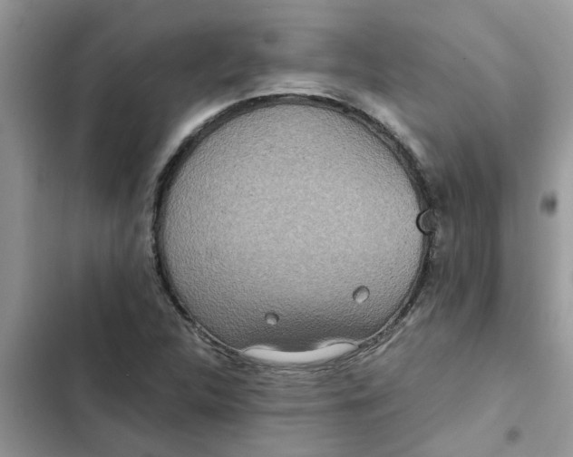 X0000102341312200808151719