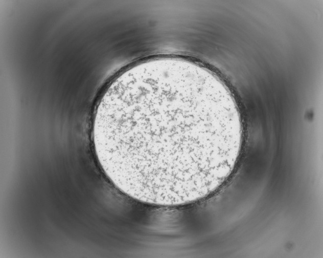 X0000102341314200808151719