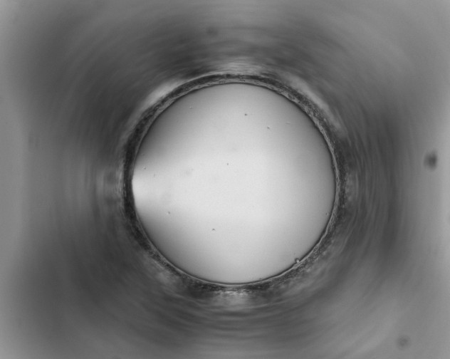 X0000102341315200808151719