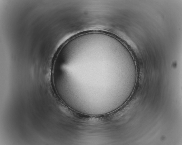 X0000102341316200808151719