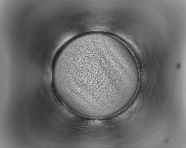 X0000102341317200808151719