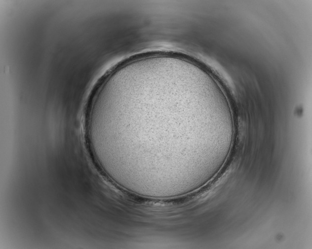 X0000102341318200808151719