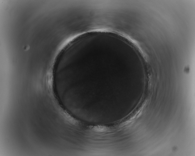 X0000102341319200808151719