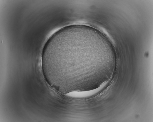 X0000102341320200808151719