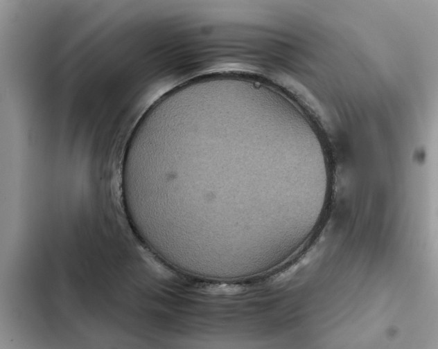 X0000102341321200808151719