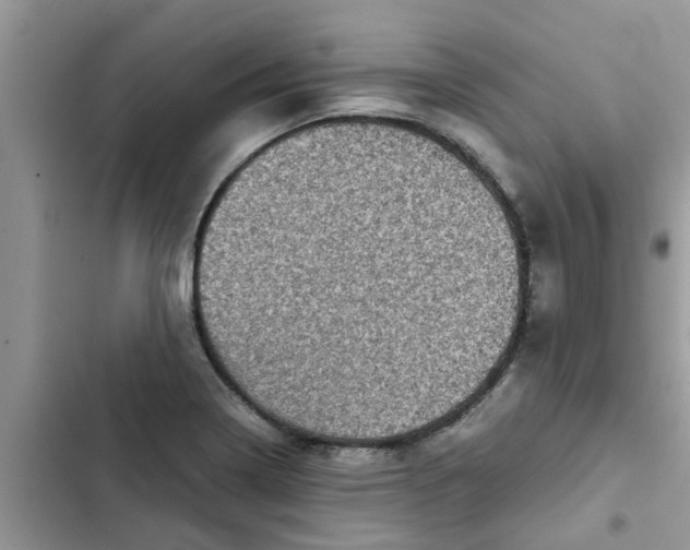 X0000102341322200808151719