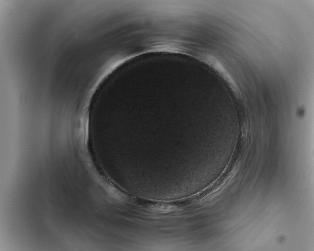 X0000102341323200808151719