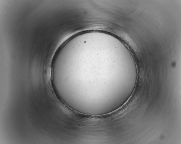 X0000102341324200808151719