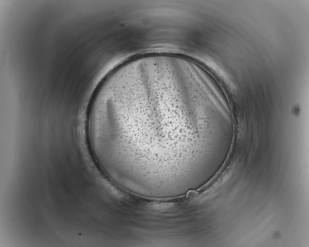 X0000102341325200808151719