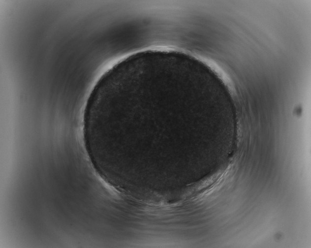 X0000102341327200808151719