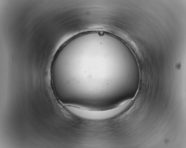 X0000102341328200808151719