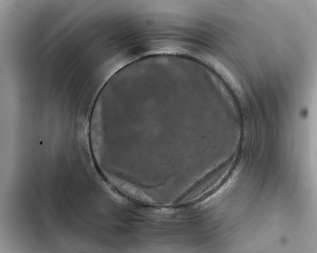 X0000102341329200808151719